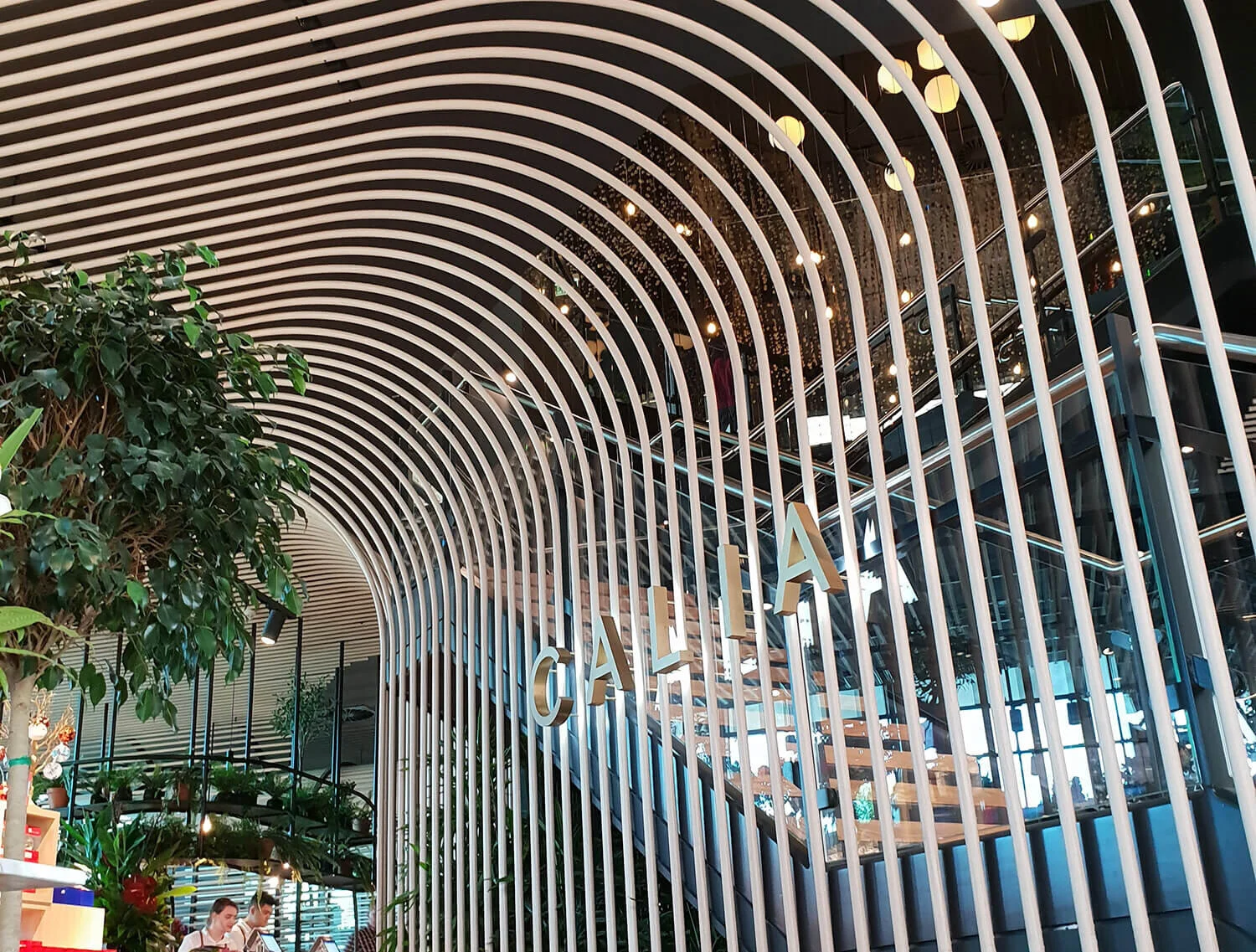Calia-melbourne-timber-look-aluminium-curved-battens-hero.jpg
