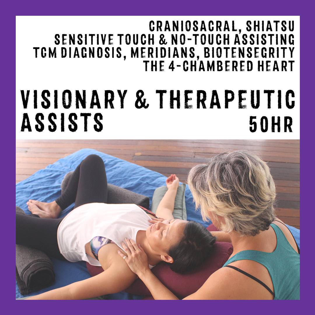 VISIONARY & THERAPEUTIC ASSISTS IN YOGA TEACHER TRAINING