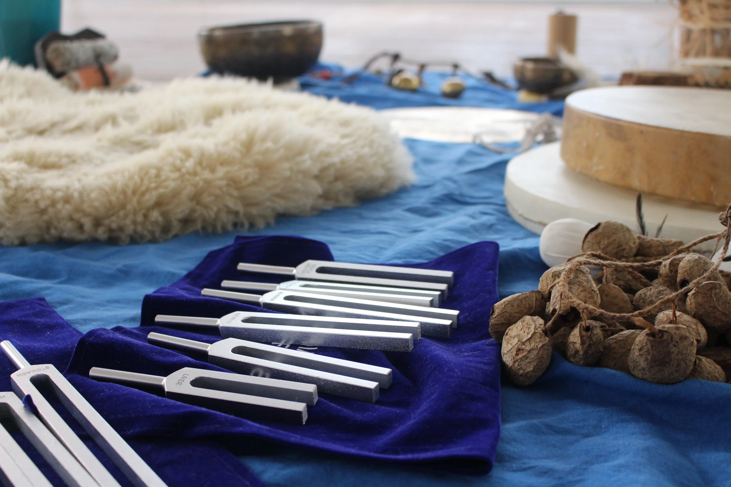 MERIDIAN TUNING FORKS