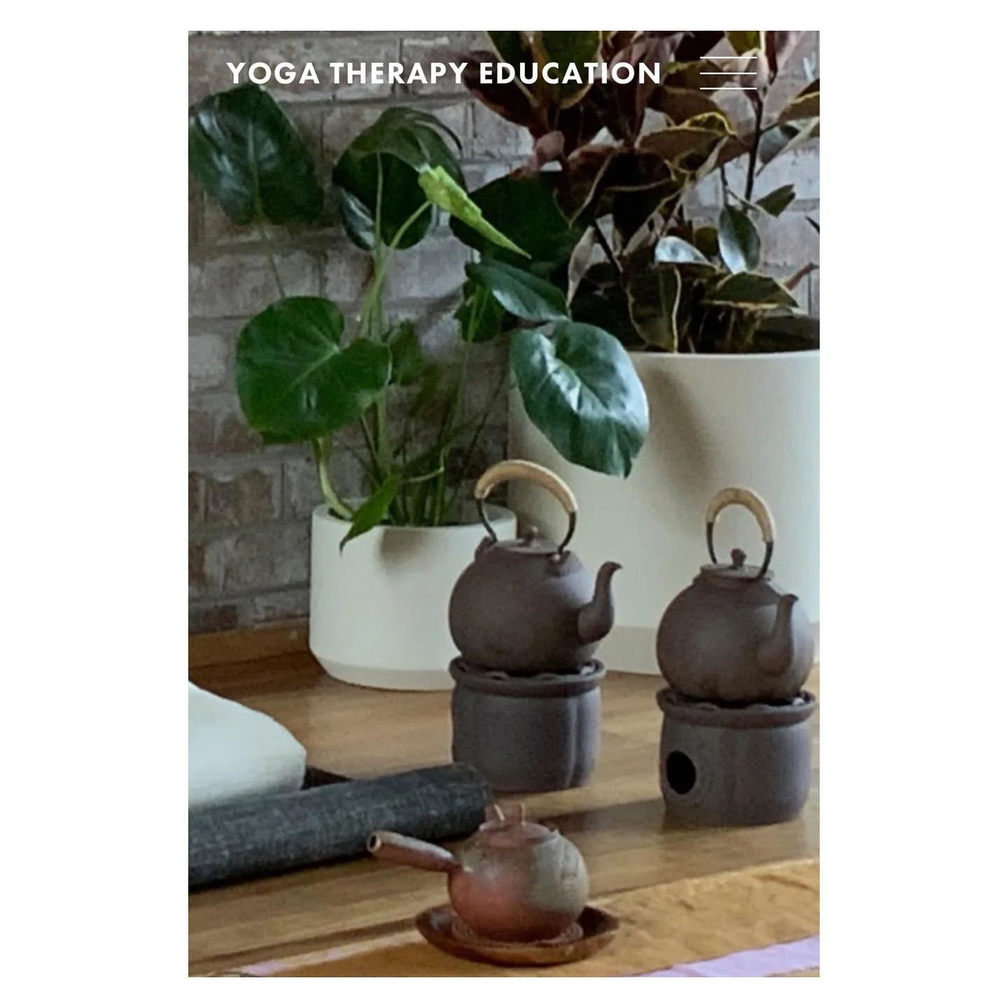 SIT TEA with Me. Weekly. CAMPERDOWN &amp; SURRY HILLS. Coming soon to Stanmore and Double Bay.