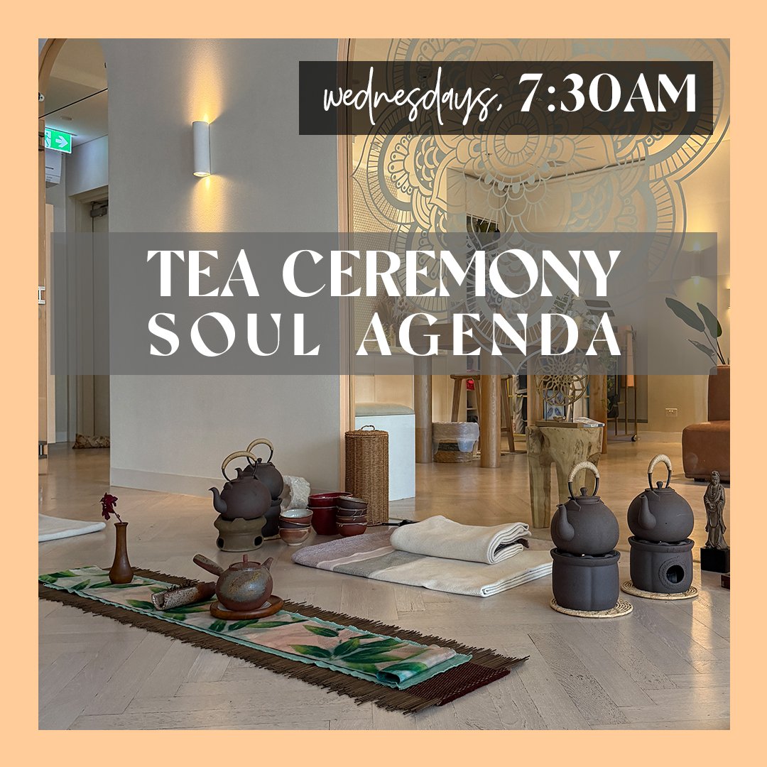 TEA CEREMONY IN BALMAIN