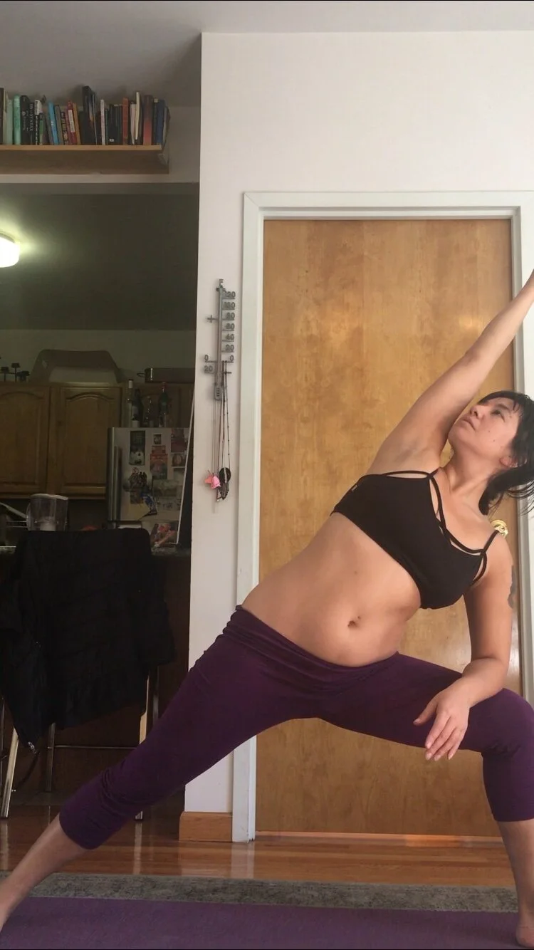 Building a Practice for Spinal Health- Workshop Alert!