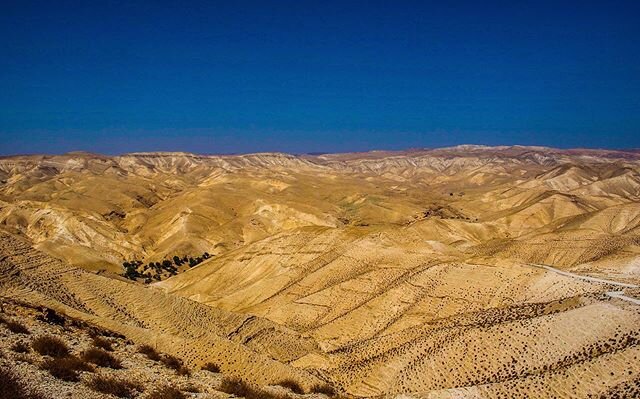 Judaean Desert &bull; Earth Day &bull; &ldquo;To see the desert is like peeling the skin off a landscape.&rdquo; - Fred Williams
.
. 
#earthday #desert #sand #mountains #offroad #sound #sight #feeling #beauty #adventure #landscape #nature #travel #ex