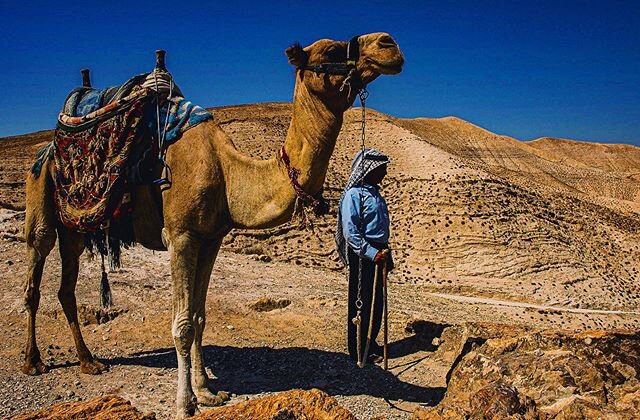 Judaean Desert &bull; Earth Day &bull; &ldquo;Once you get into the desert, there's no going back,&quot; said the camel driver. &quot;And, when you can't go back, you have to worry only about the best way of moving forward.&rdquo; - Paulo Coelho
.
. 