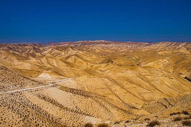 Judaean Desert &bull; Earth Day &bull; &ldquo;A desert is a place without expectation.&rdquo; - Nadine Gordimer
.
.
#earthday #desert #sand #mountains #offroad #sound #sight #feeling #beauty #adventure #landscape #nature #travel #explore #love #photo