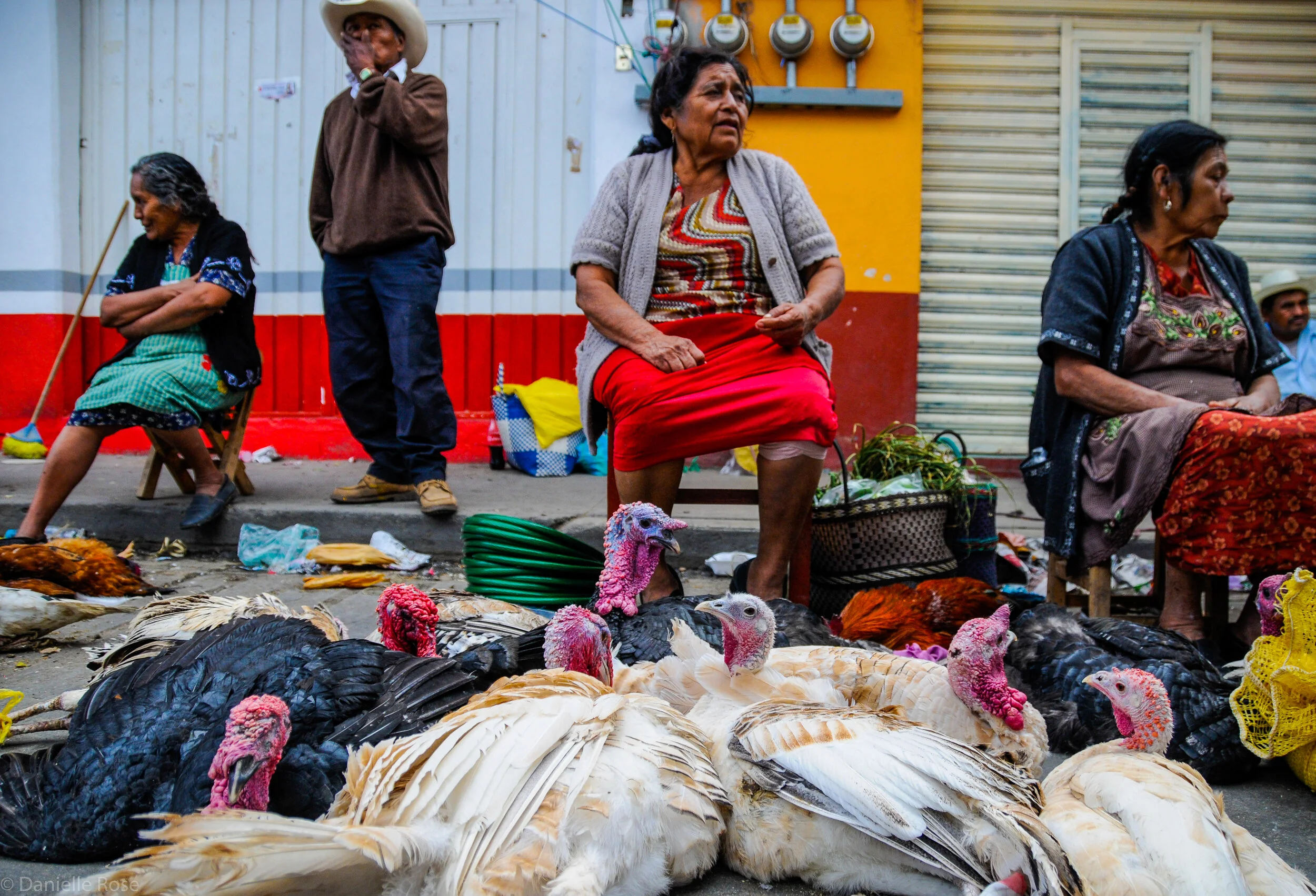 Mexico Markets 1.jpg