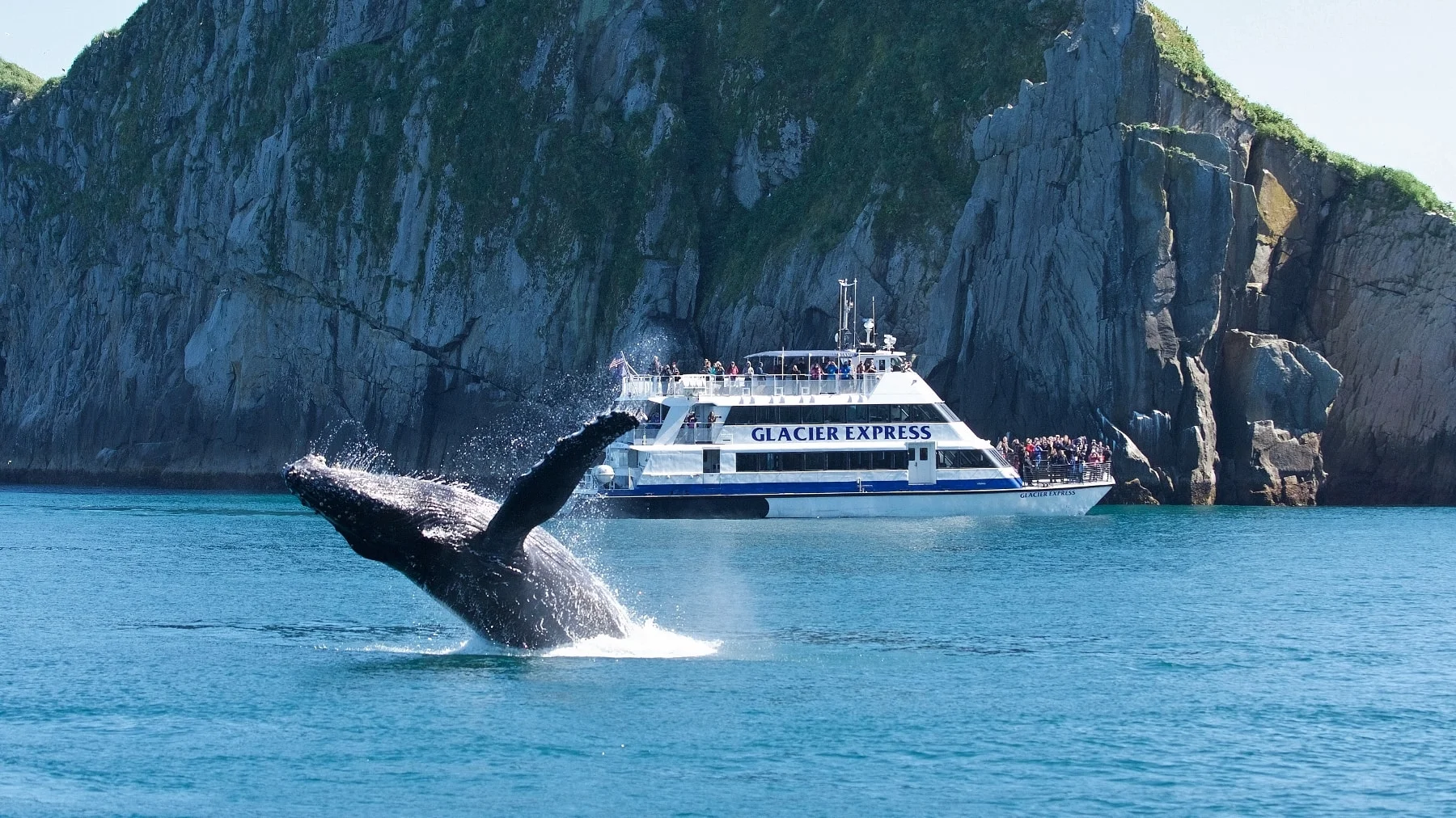 Humpback-Whale-Breach-GX-2-1800x1012.jpg