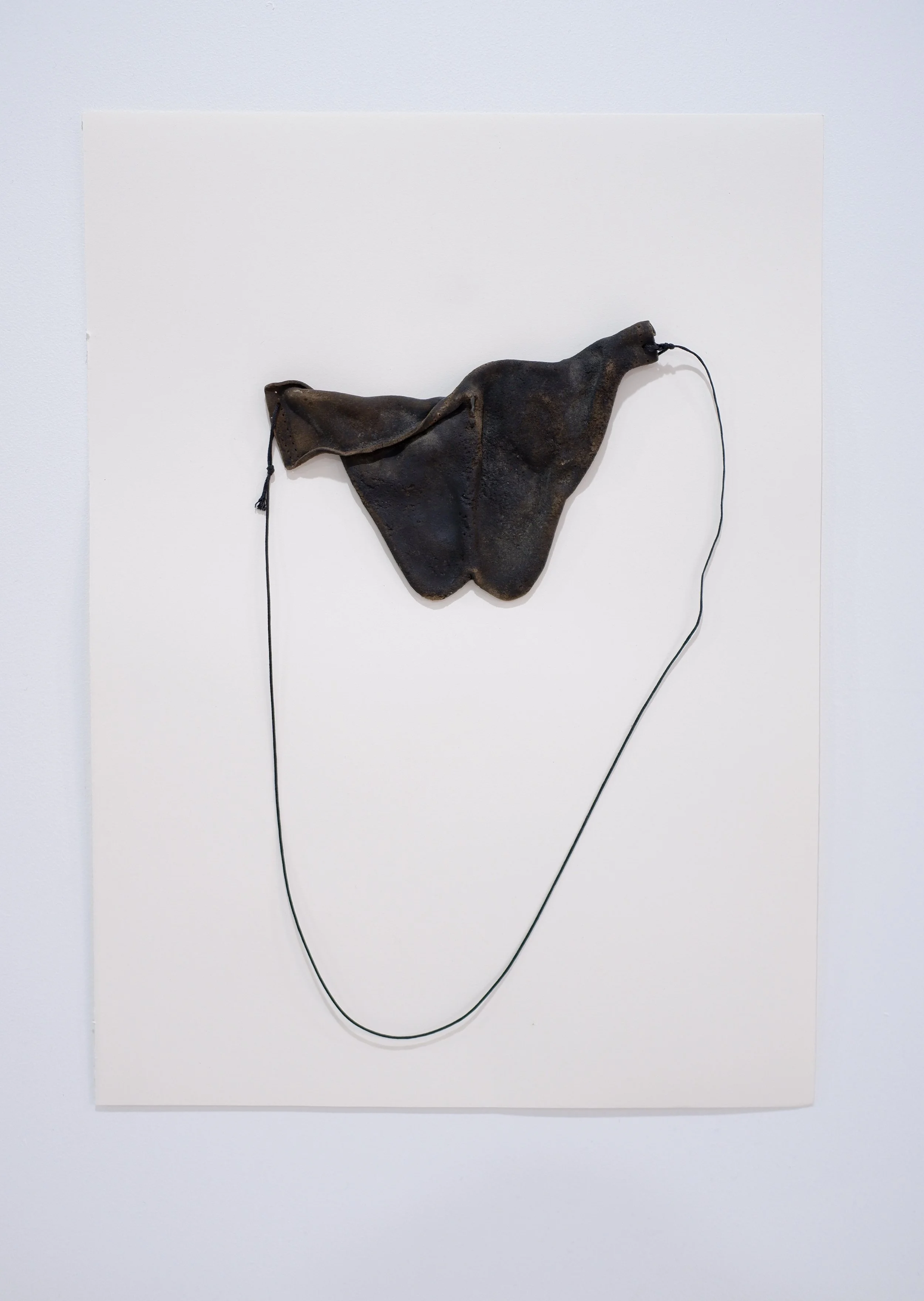 Art piece resembling a pair of dark-colored underwear with a connecting black cord.