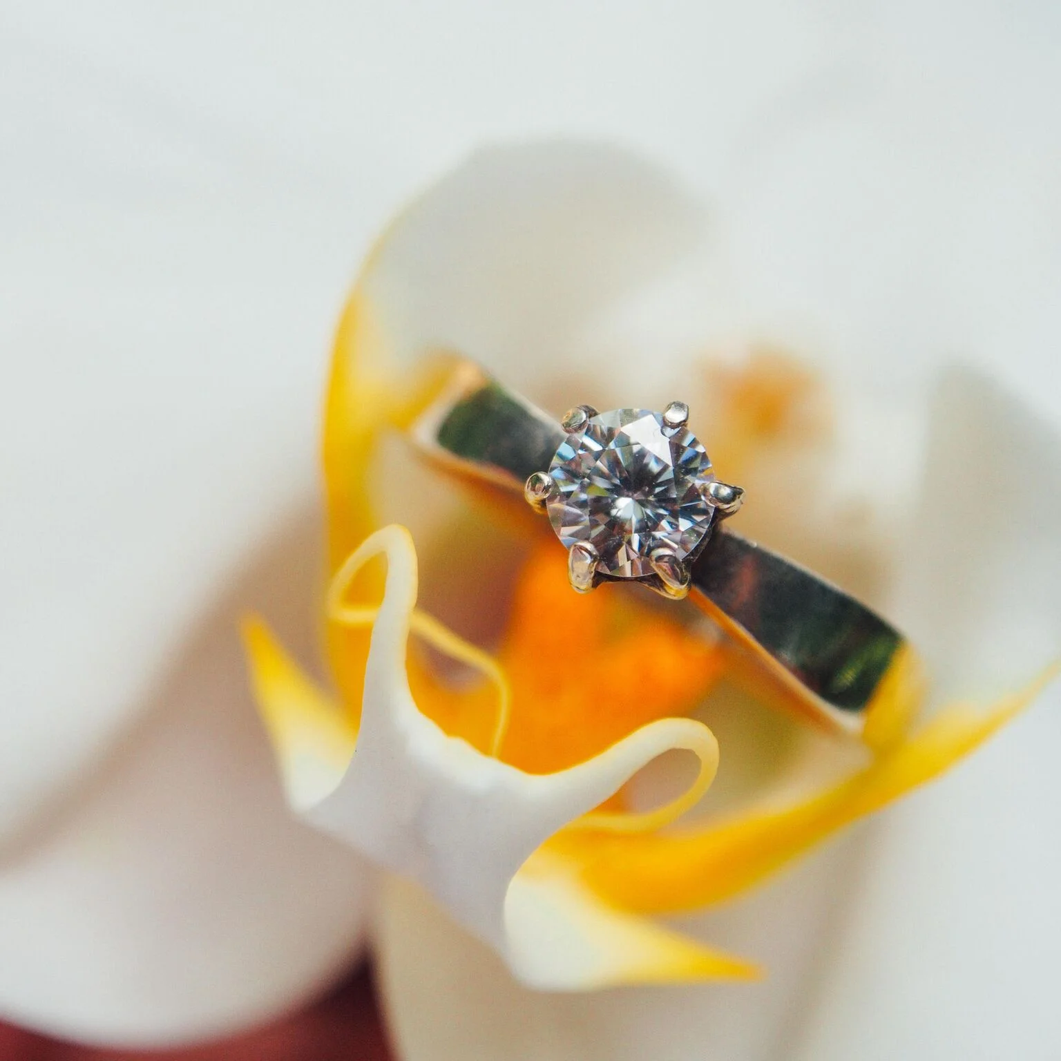 Nuptial Line: Engagement Rings