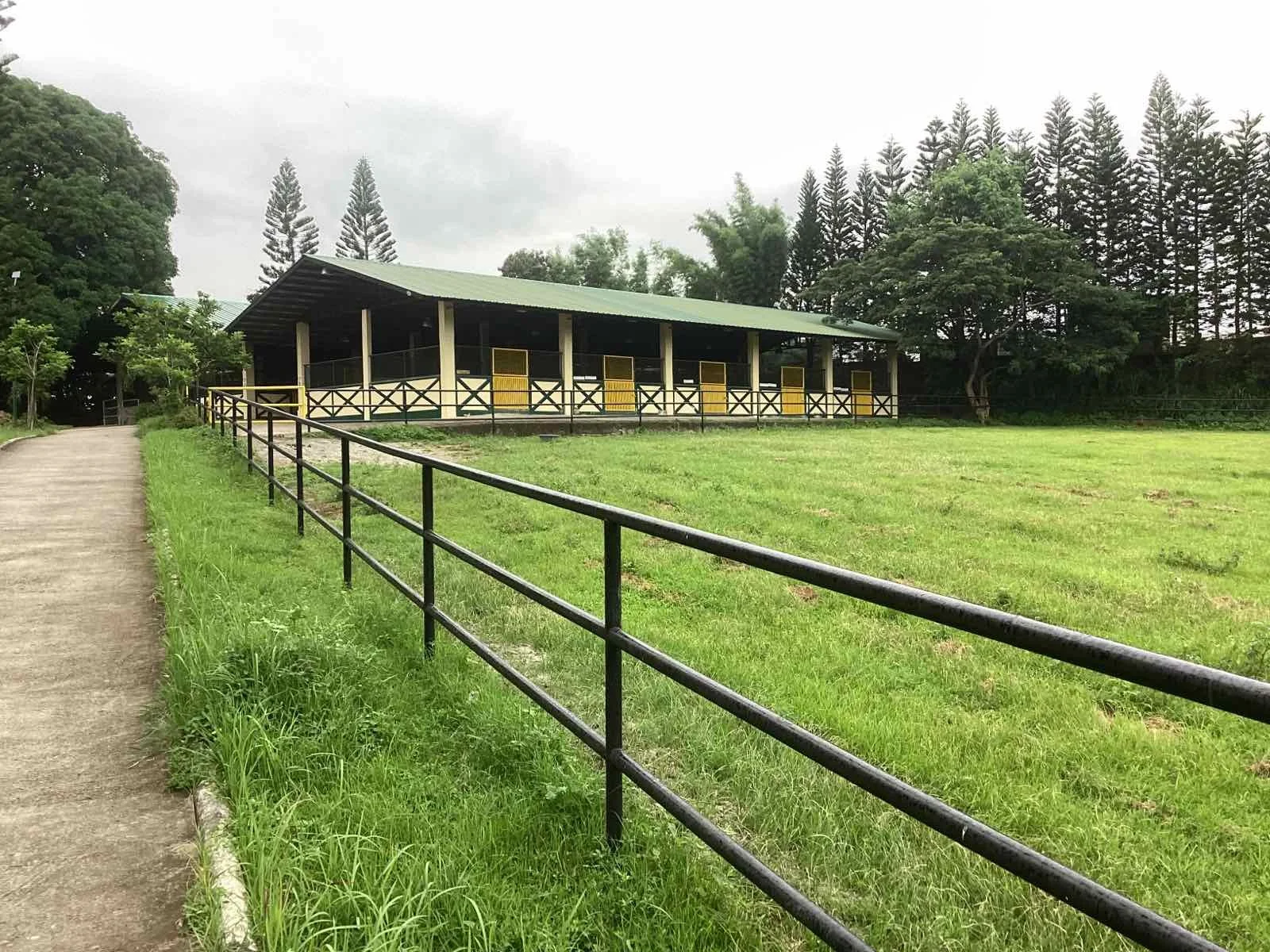  The  Cool Summer Farm  in Lipa, Batangas.  