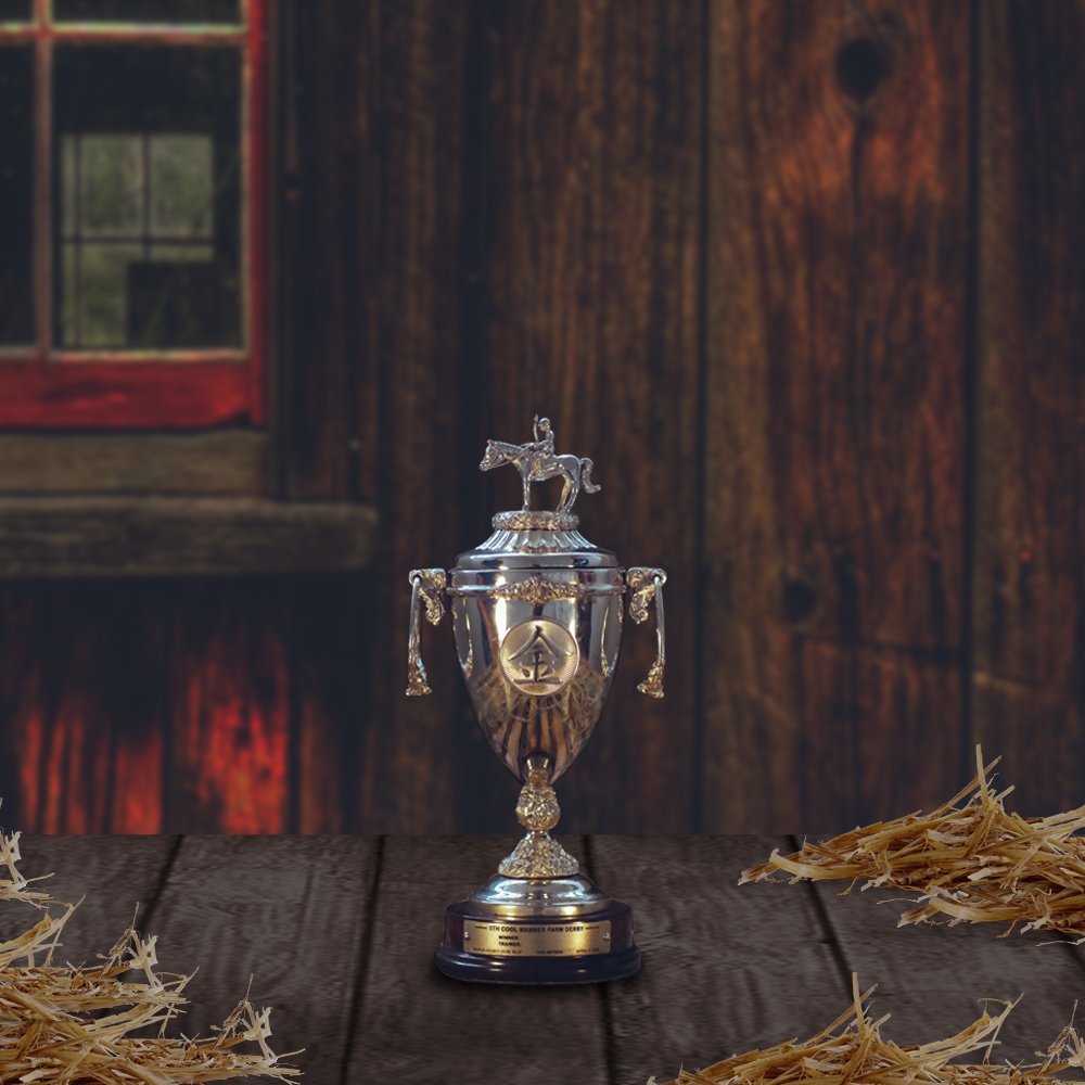 Jockey's Trophy