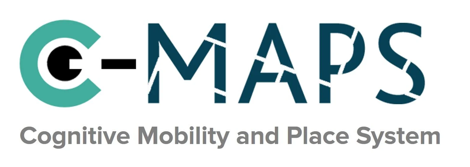 Cognitive Mobility and Place: world's first AI tool to forecast walking ...