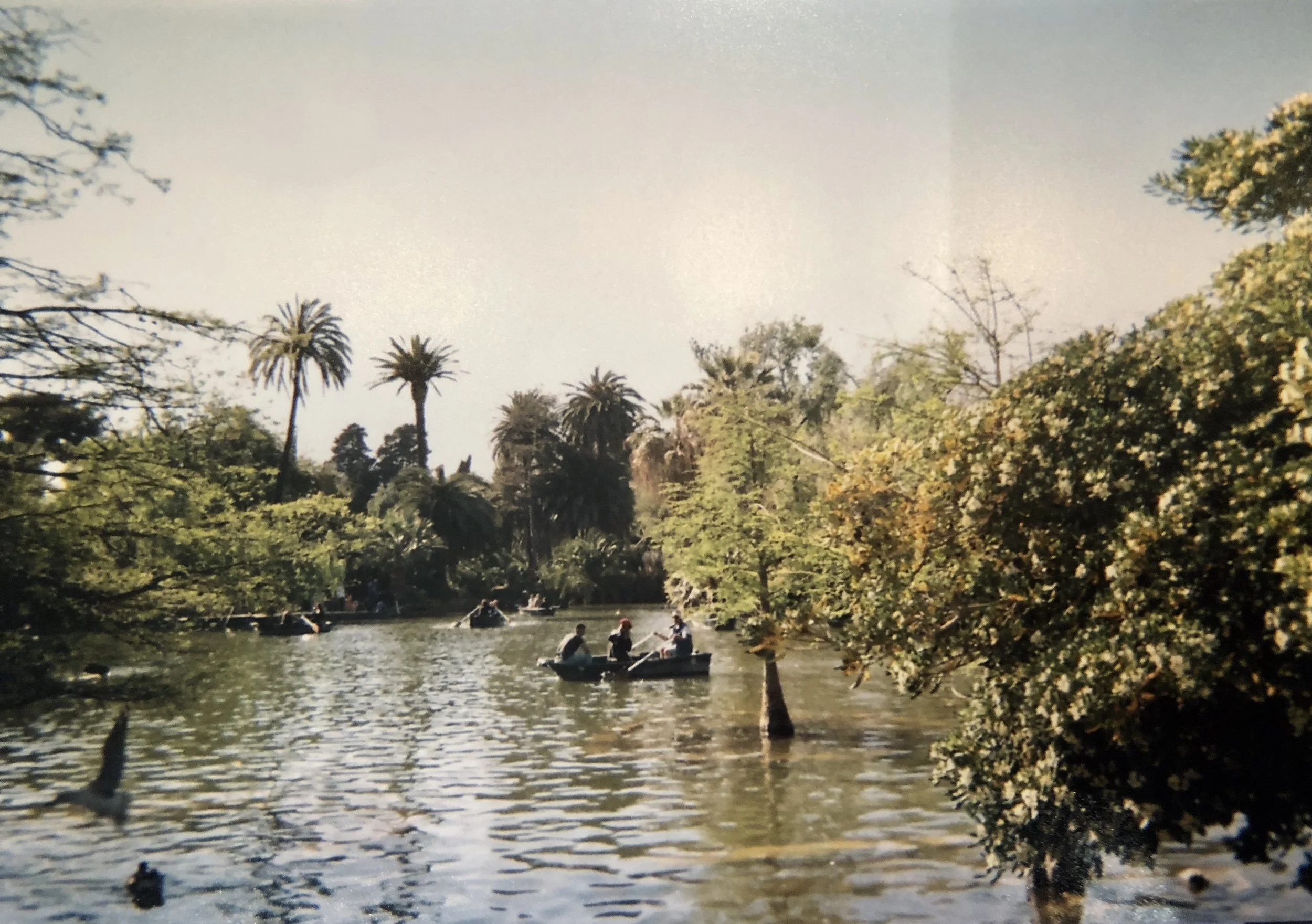Parc de la Citutadella~ Barcelona's famous and beautiful park filled with flowers, lakes, and fun activities!