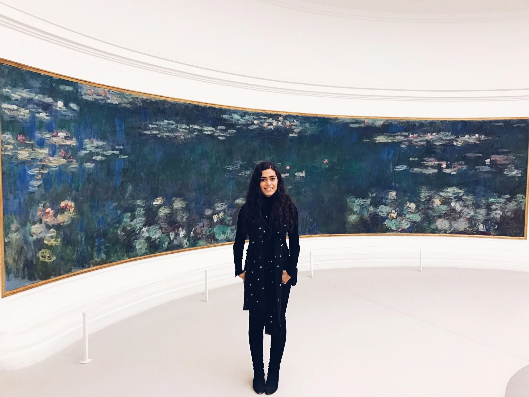 Musée de l'Orangerie~used to be where the orange trees (therefore its name) were kept in the harsh winter and is now dedicated to Monet's famous 360° water lily paintings.