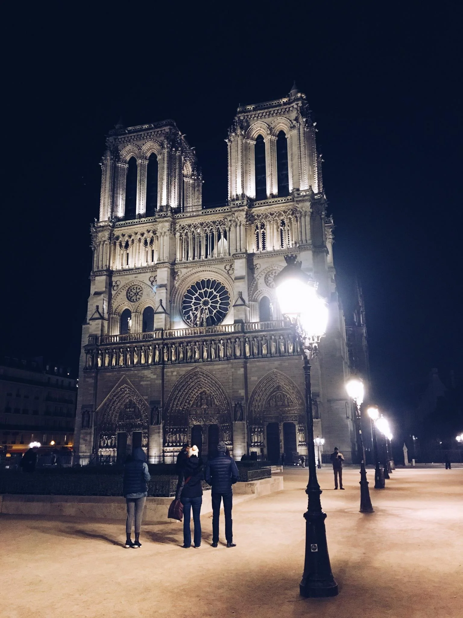 Notre-Dame de Paris~ Paris’ famous Catholic Cathedral on the Île de la Cité (island of the city)