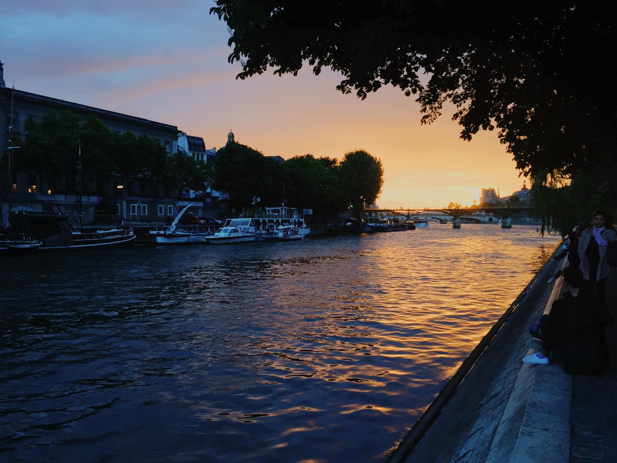 Square du Vert-Galant~ a park on the edge of the Parisian island at the banks of the Seine