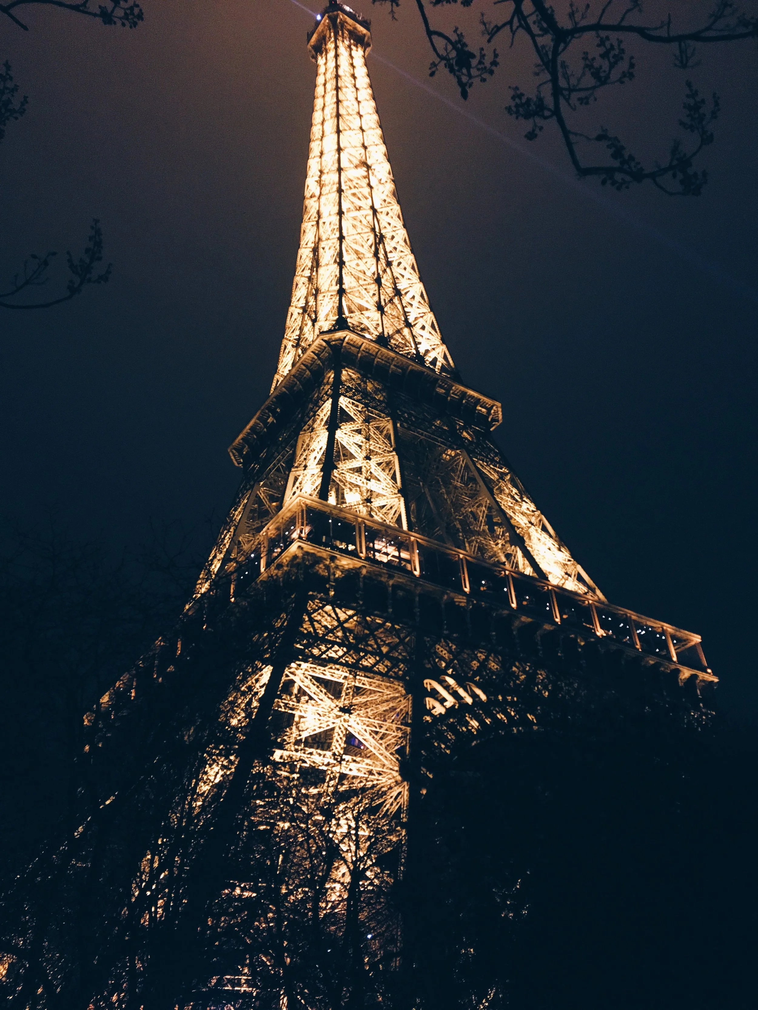 Eiffel Tower at midnight