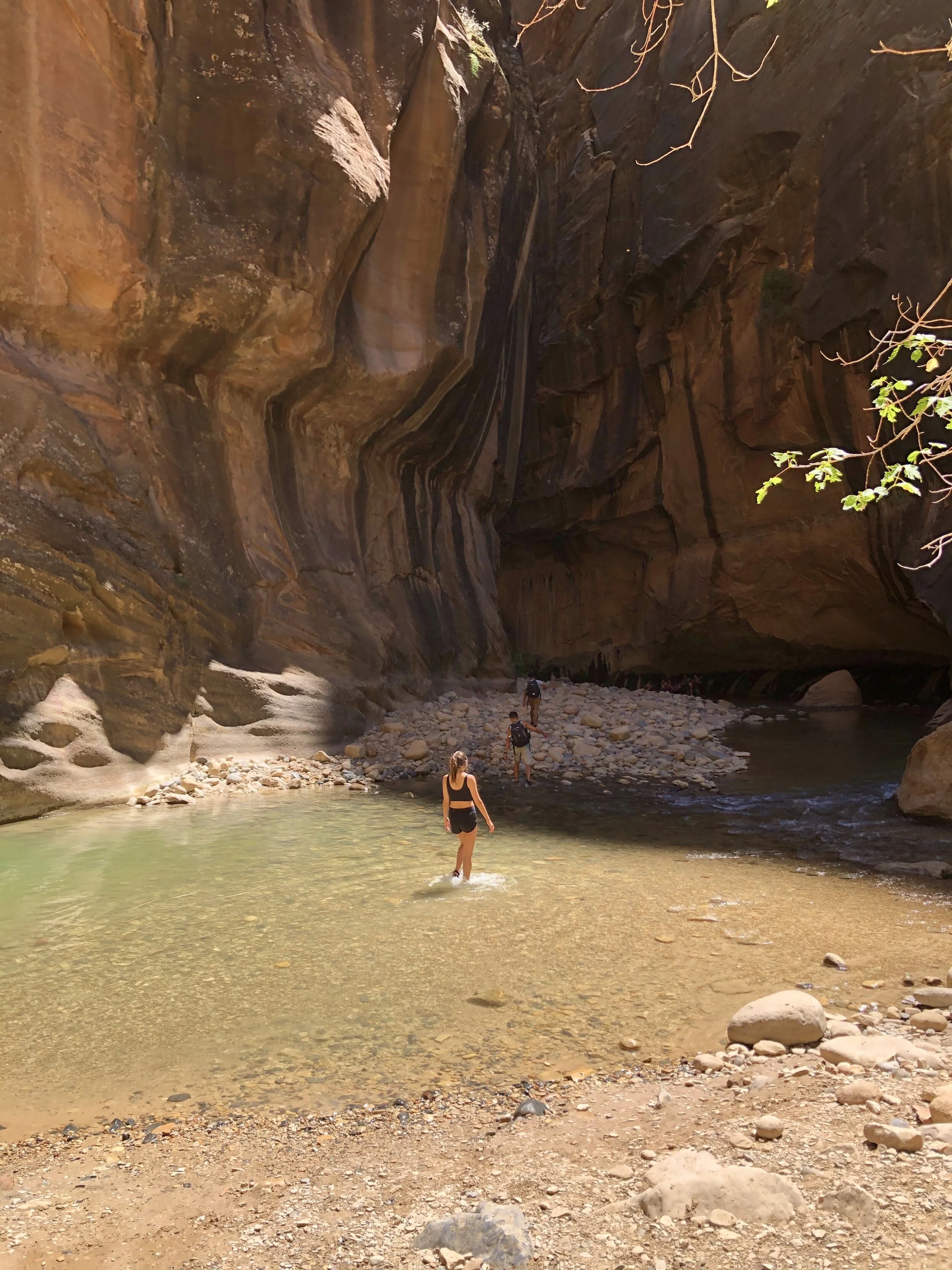 The Narrows at Zion National Park