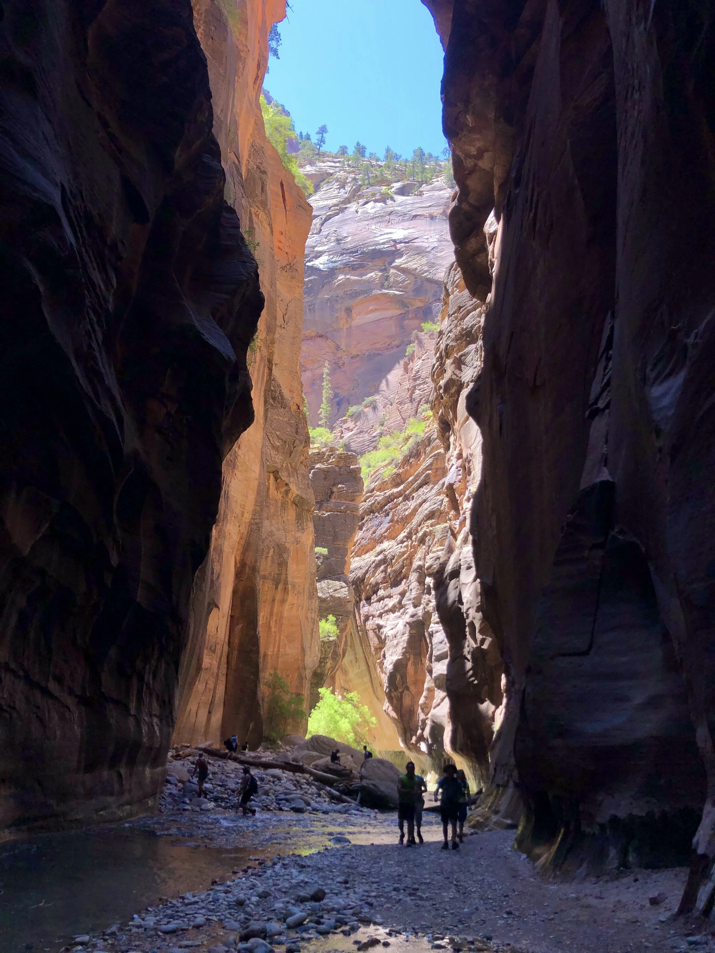 The Narrows at Zion National Park