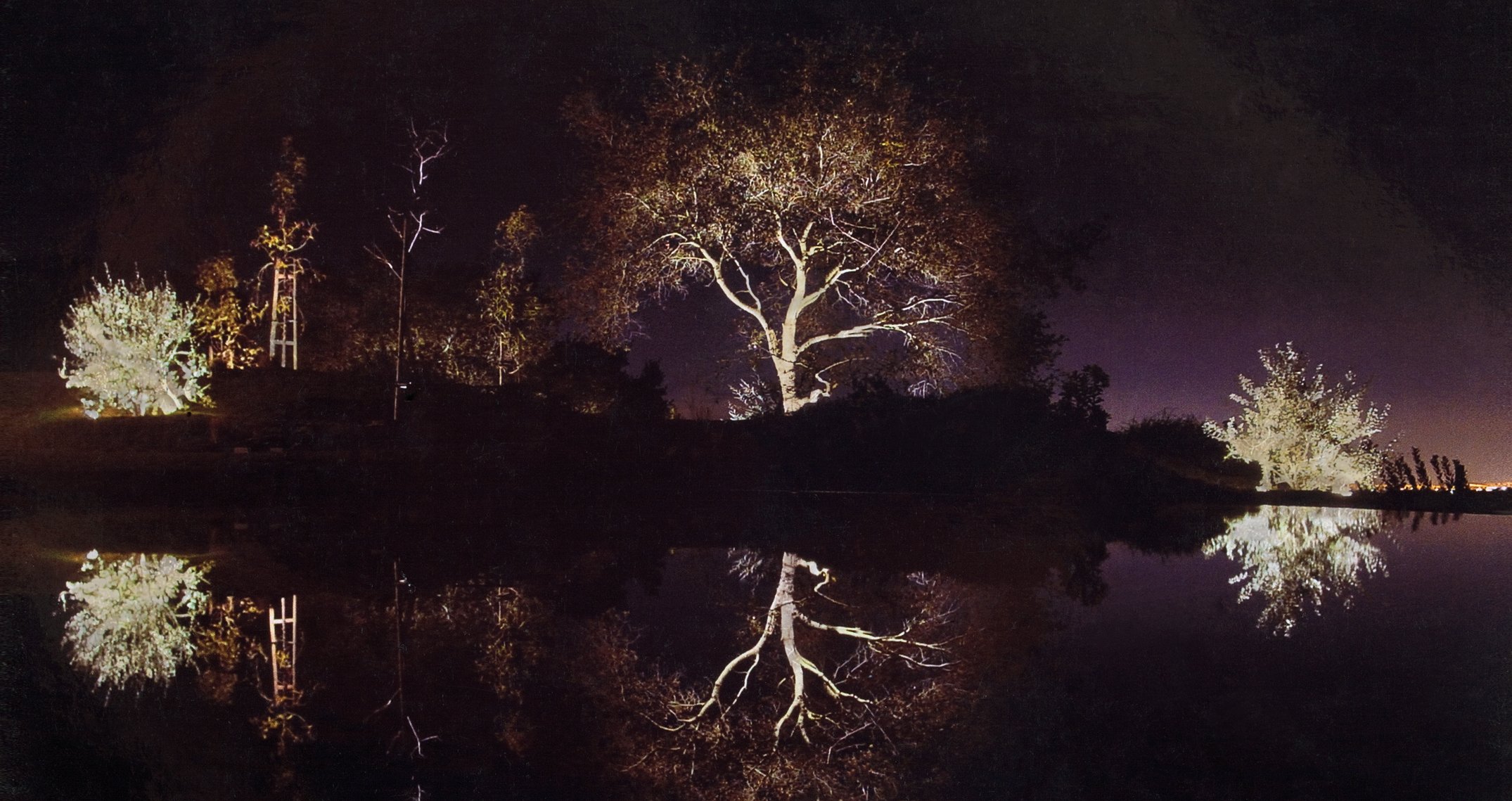 IAN_Russell_BroReflections.jpg