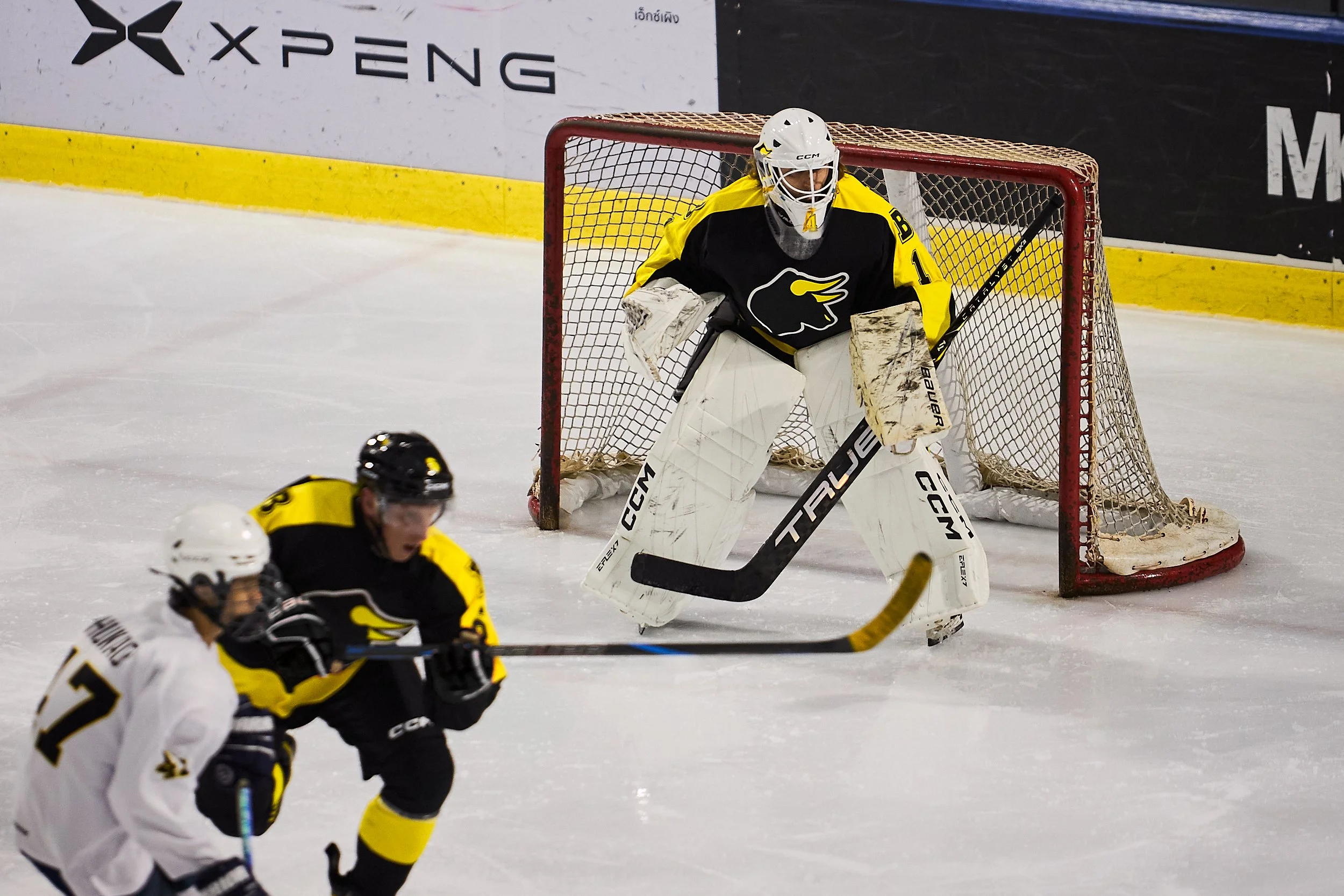 26-06-23 Panthers VS BBBH-327.jpg
