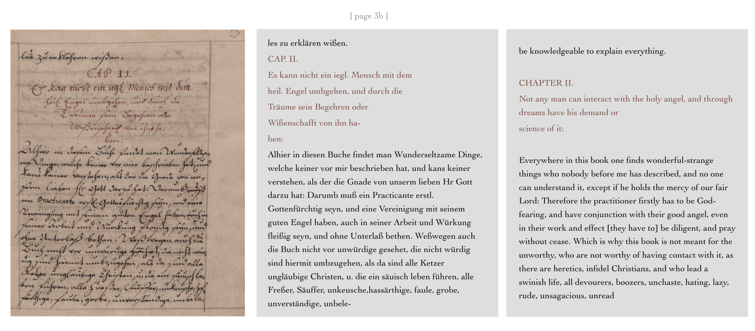 PelagiusEremitæ_2Libri_4.png