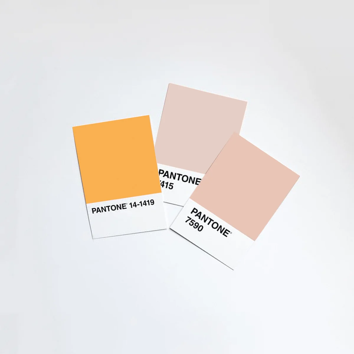 pantone_cv.jpg