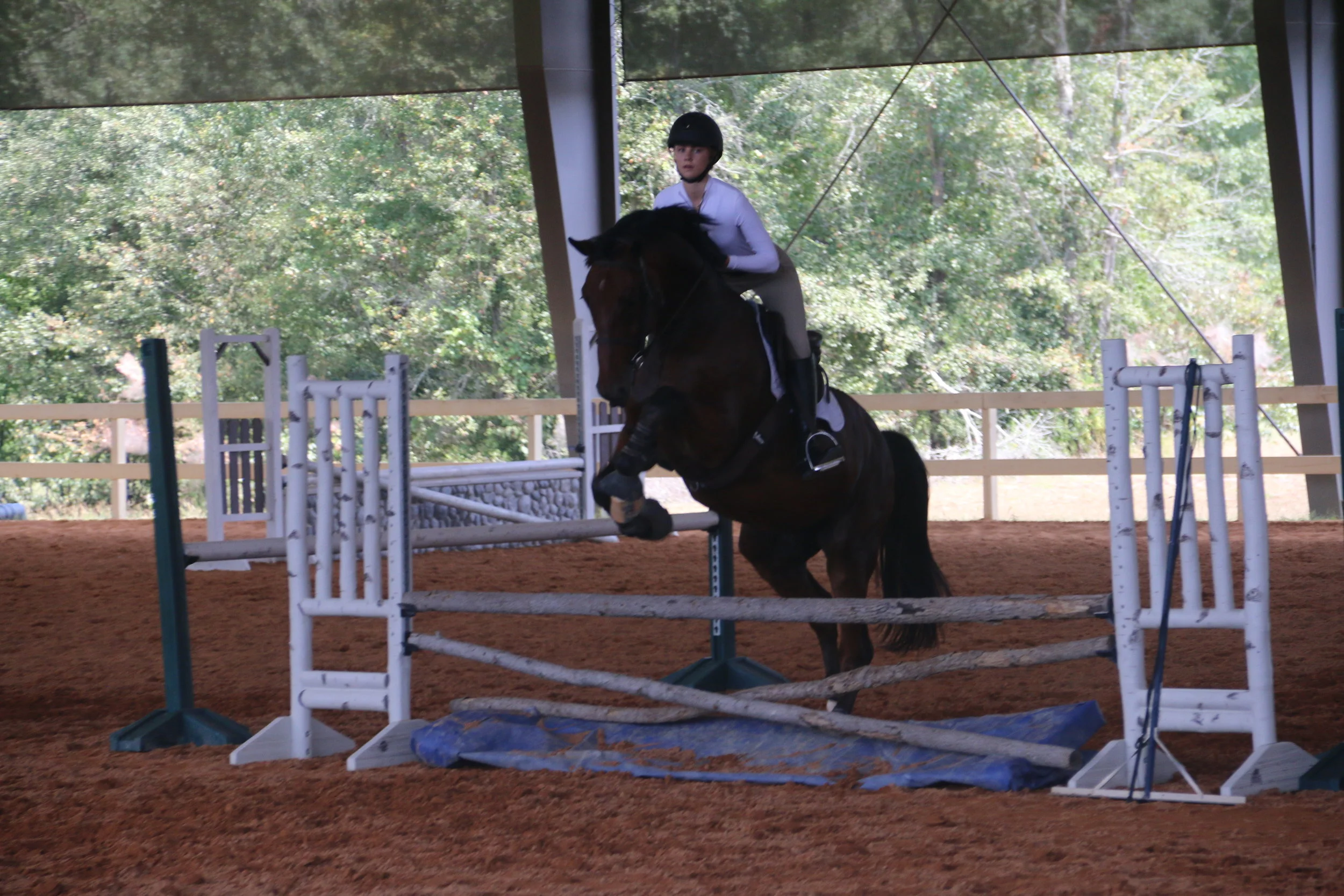 My Experience at the George Morris Clinic