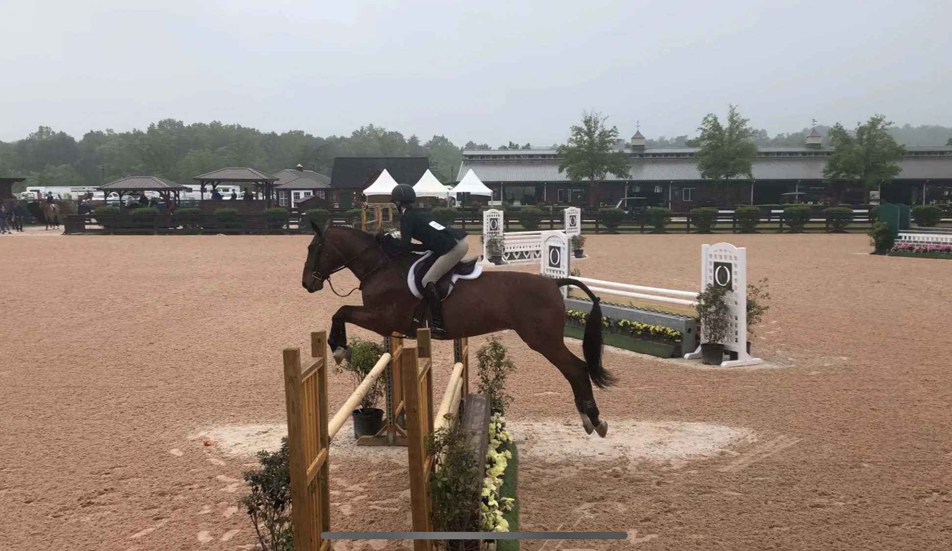What's Happening at Top Call Farm? — Top Call Farm
