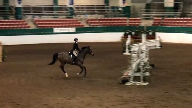 Congratulations to Bruno and Sydney for placing 7th in the National Derby at the Raleigh Indoors Winter I Show.