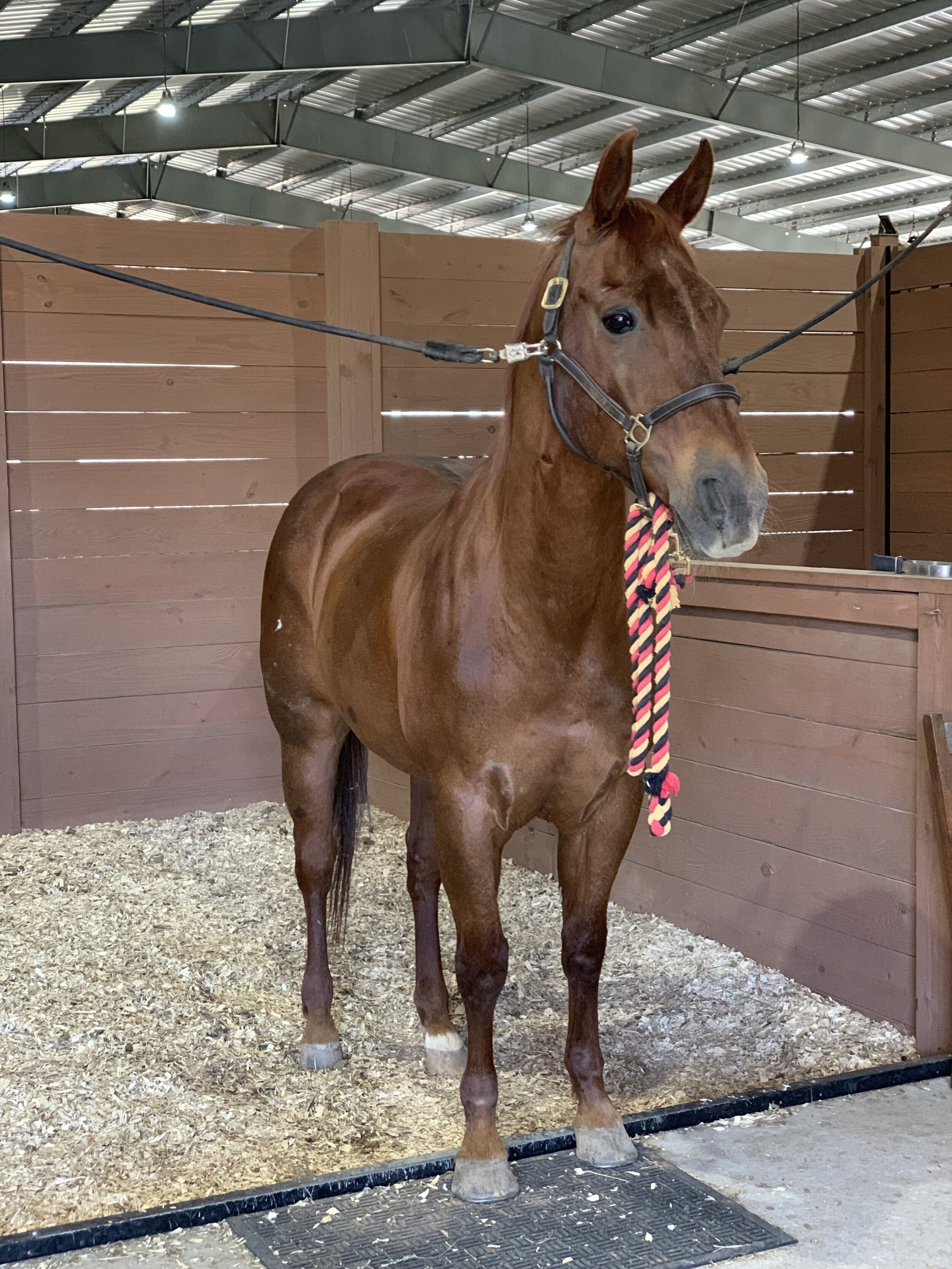 Fargo's Revenue, AKA Rev