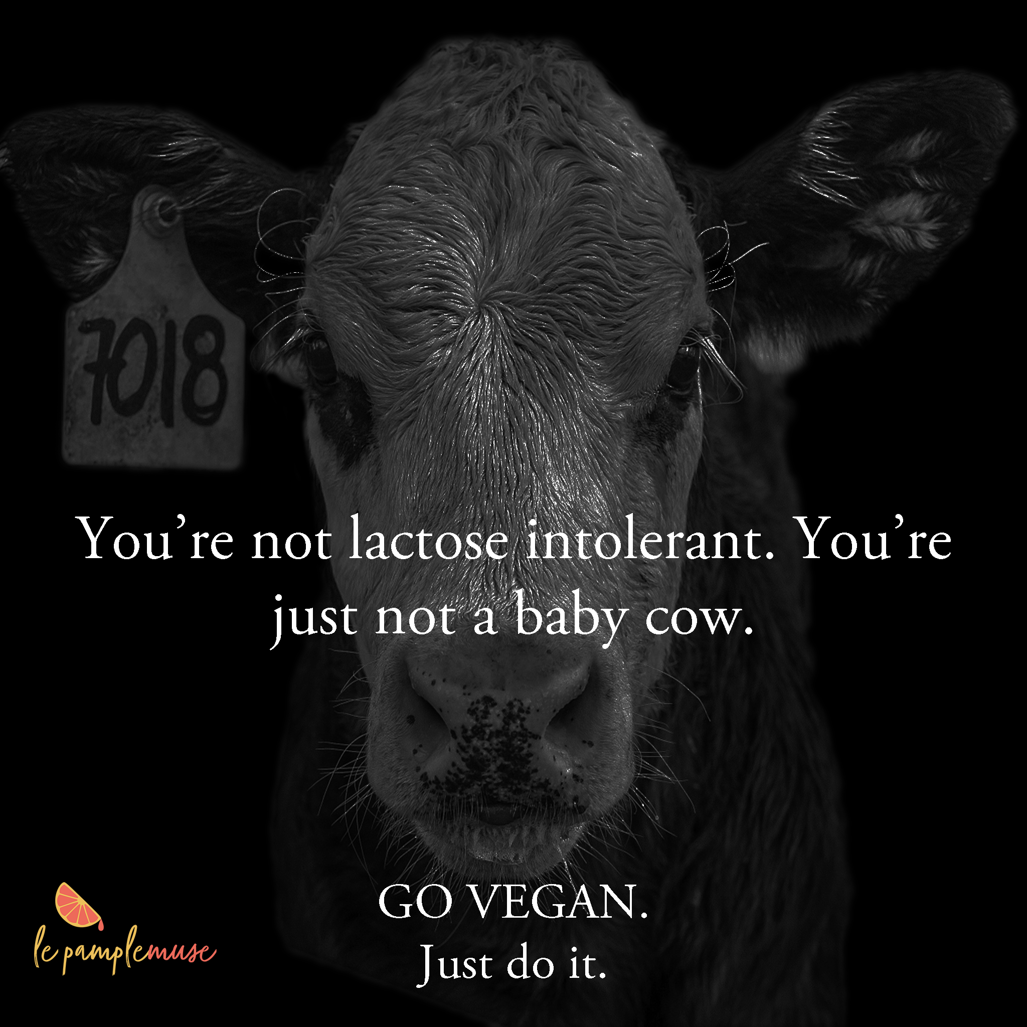 GO VEGAN Ad