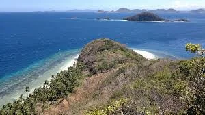 dimancal.jpg