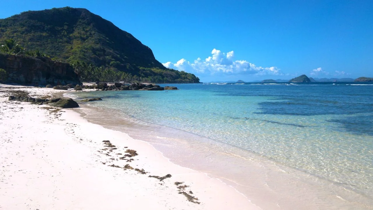 paradise beach.jpg