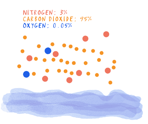The Earth’s Early Atmosphere - mainly carbon dioxide, but with some oxygen and nitrogen