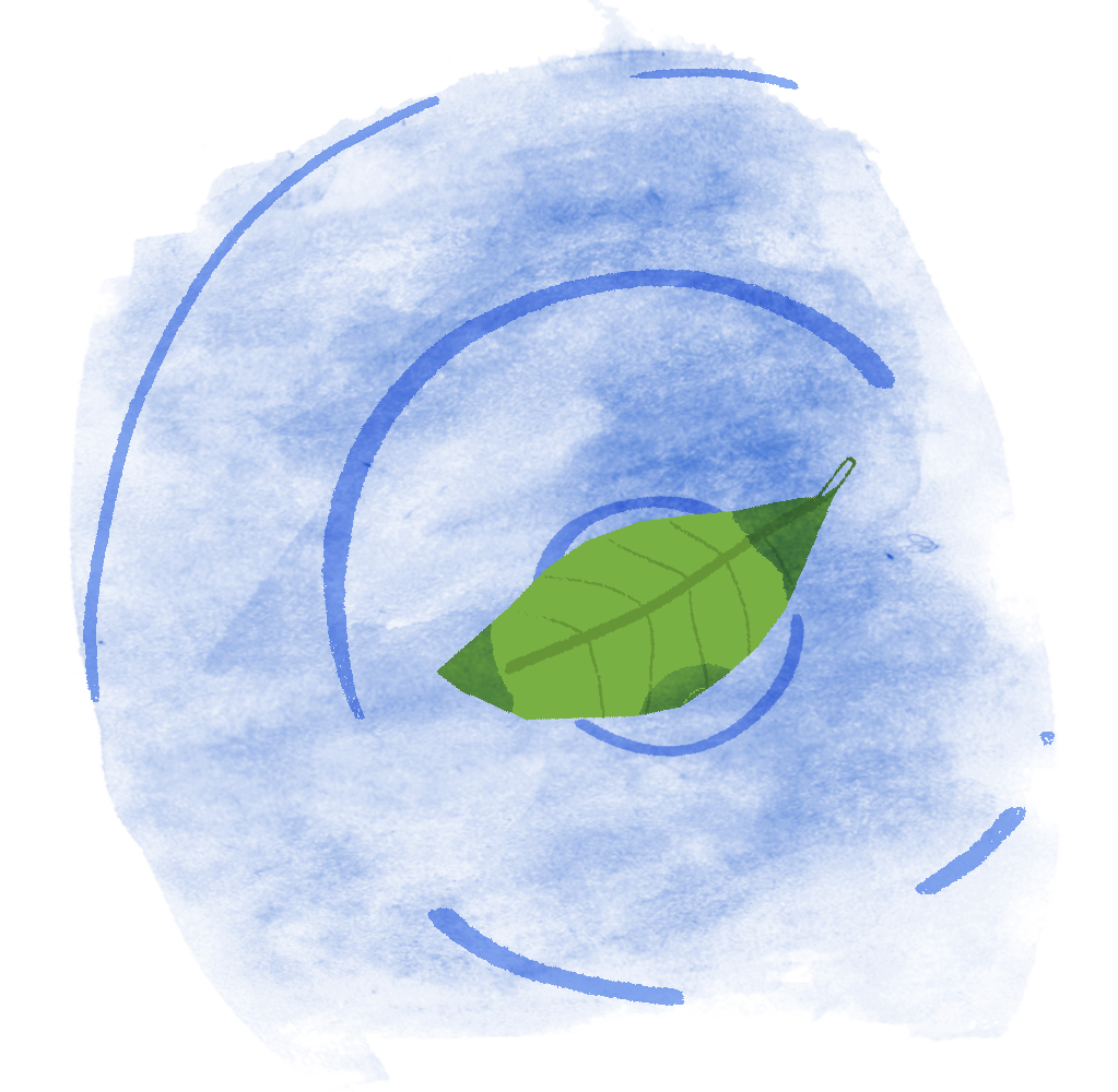 A leaf will stay still even as ripples (transverse waves) pass under it.