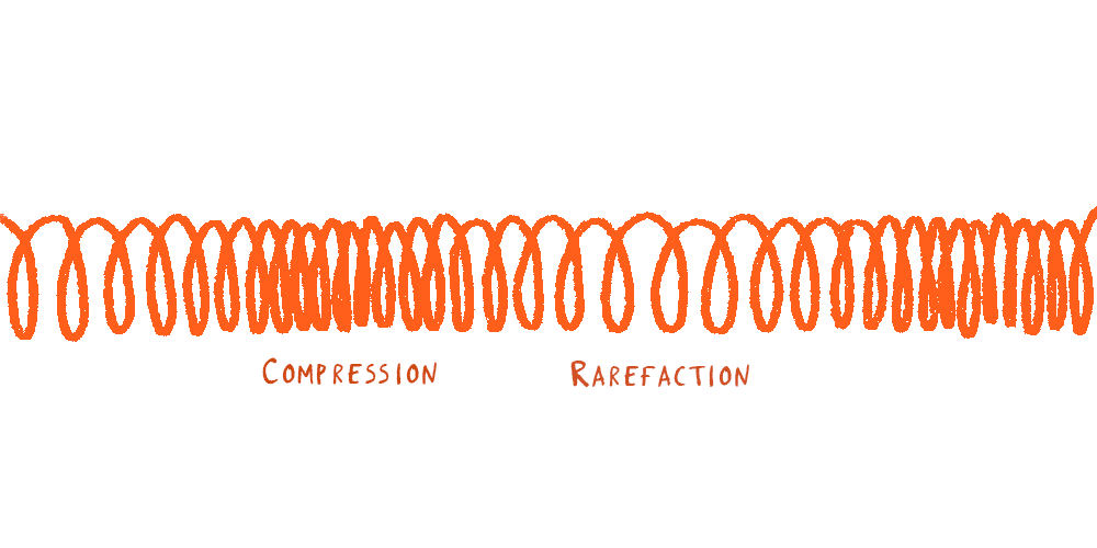 A longitudinal wave, here shown as a spring, has areas of compression and rarefaction.