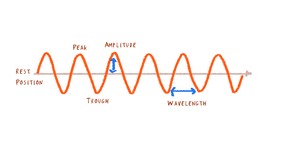 Tricky Topics 5 Longitudinal and Transverse Waves — Tassomai