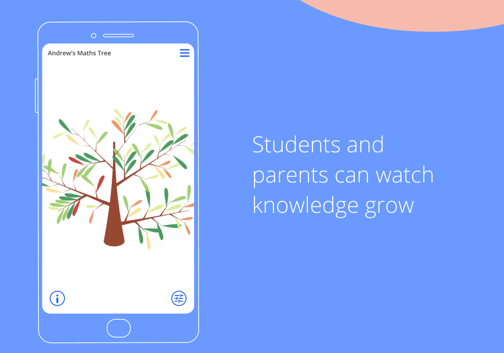 Maths edtech program for key stages 3 and 4 — Tassomai