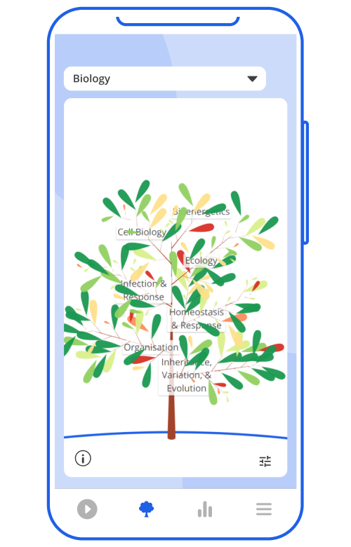 Biology tree 2.png