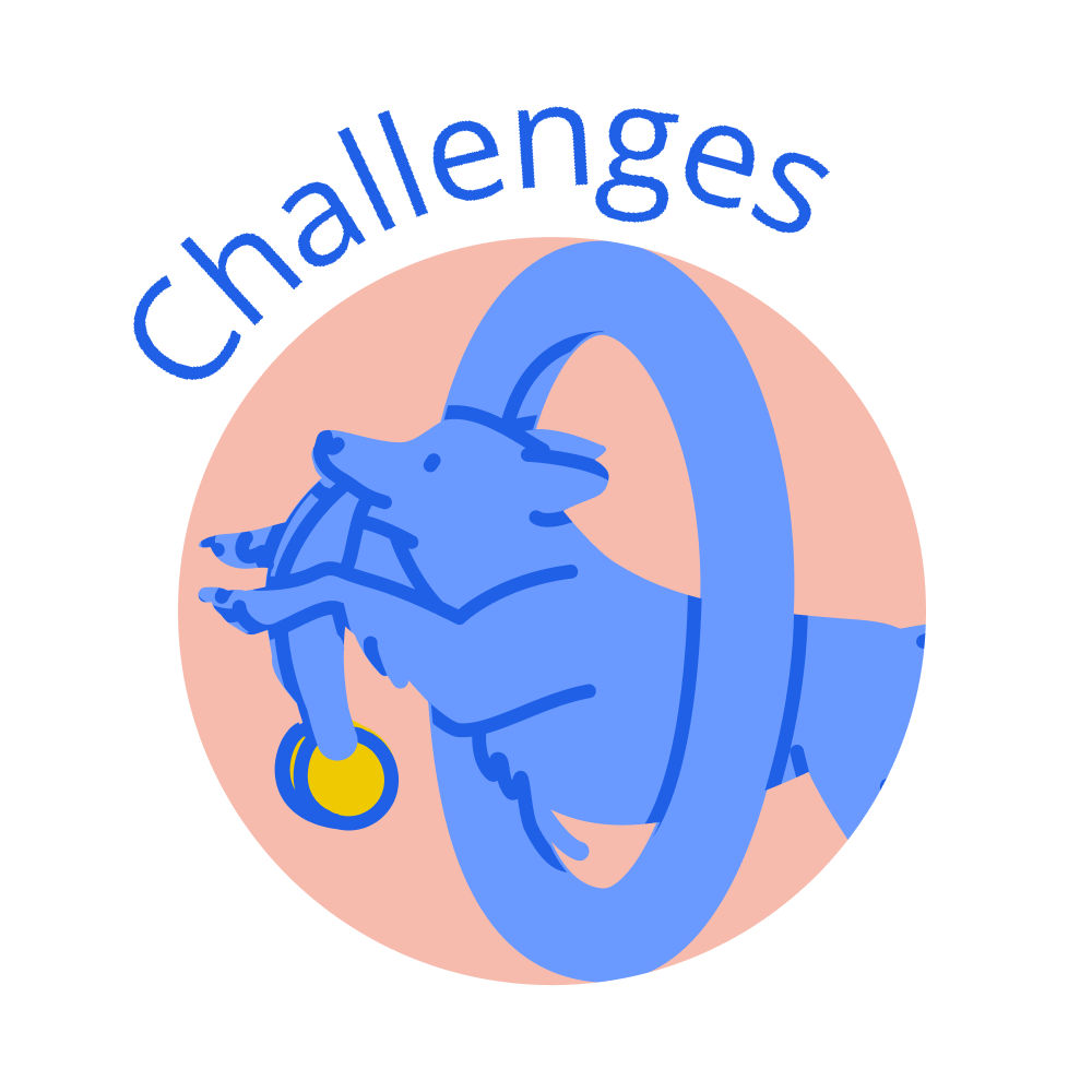 Challenges
