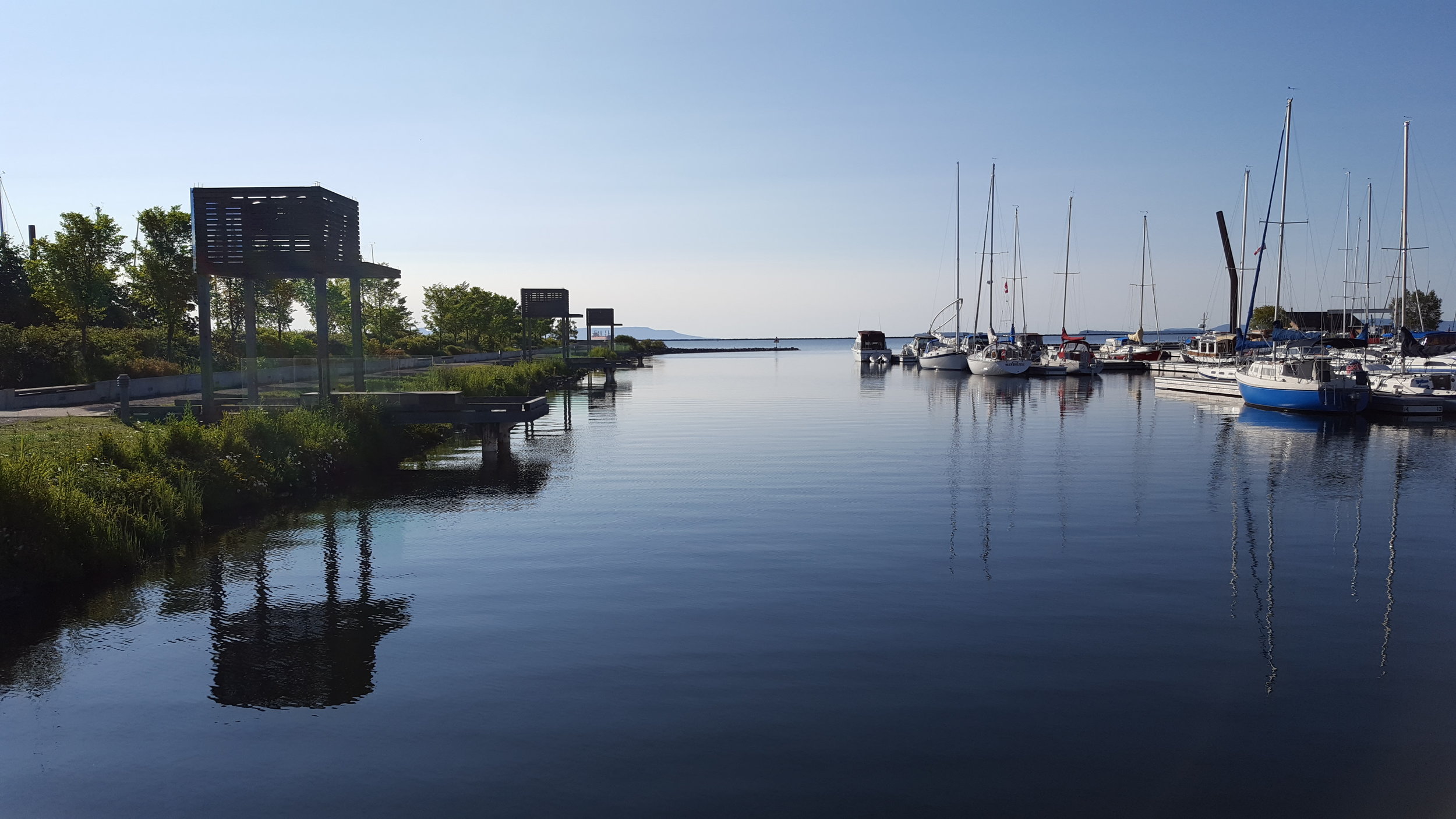 20170714_085308.jpg
