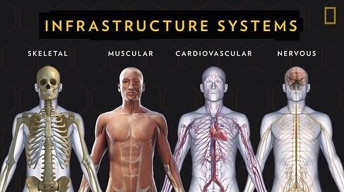 One of the reasons I love teaching English is the wide range of subjects it allows me to research and discuss. Just this weekend I have given lessons on the systems of the human body, London during The Second World War and the dangers of Artificial I