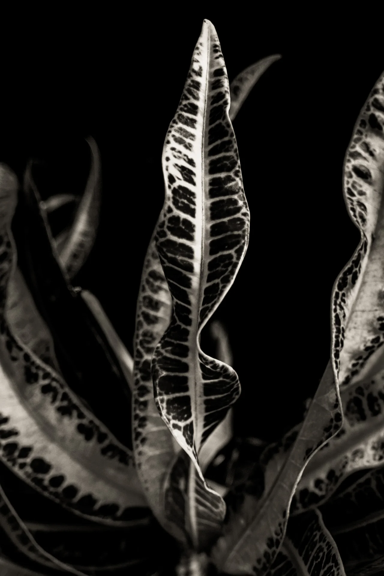 2013_1211_160512.jpg