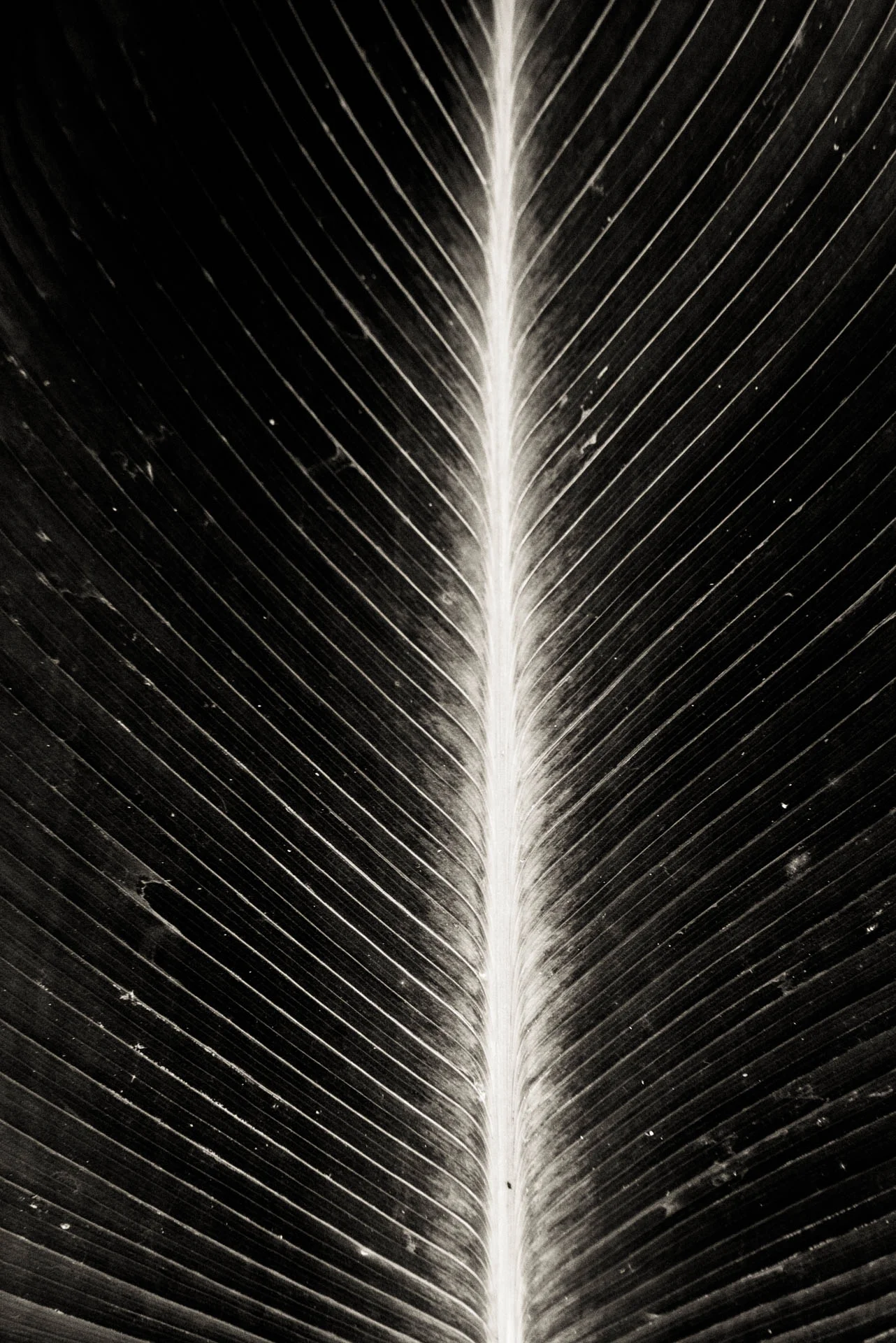 2015_0516_115218.jpg