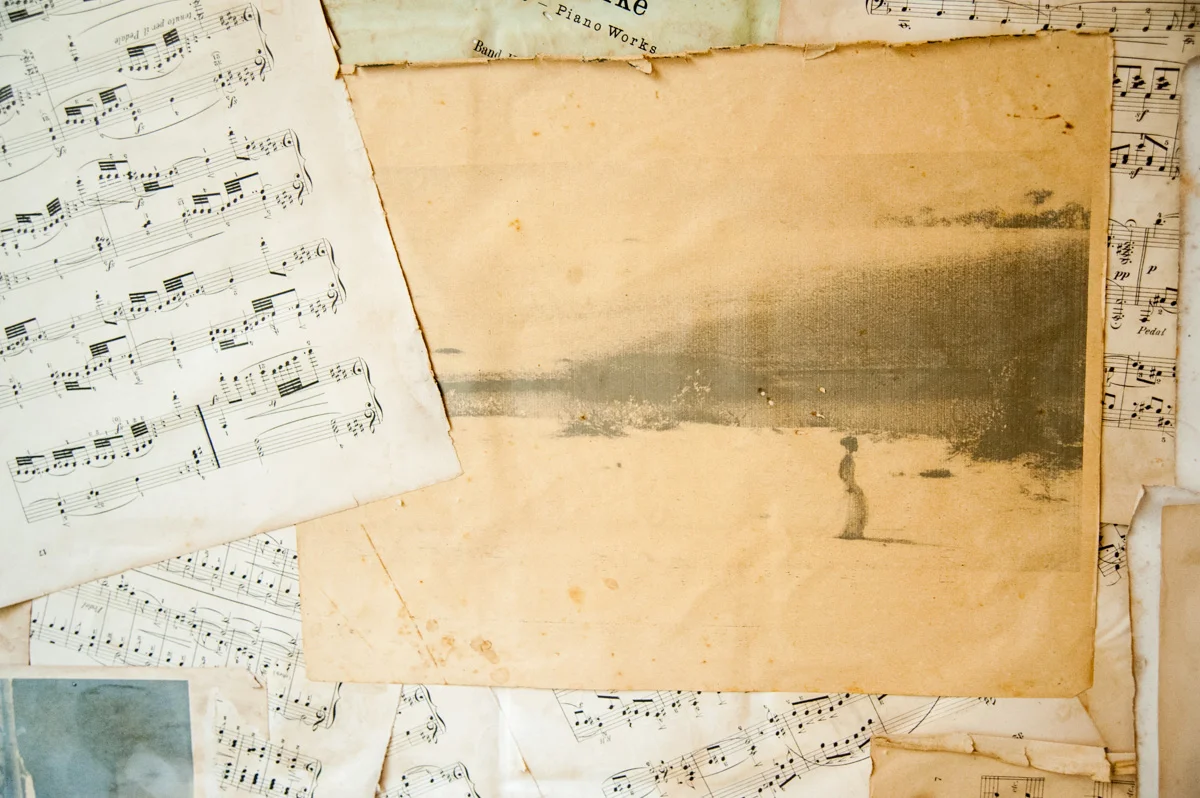 Terre d'Asiles_036.jpg