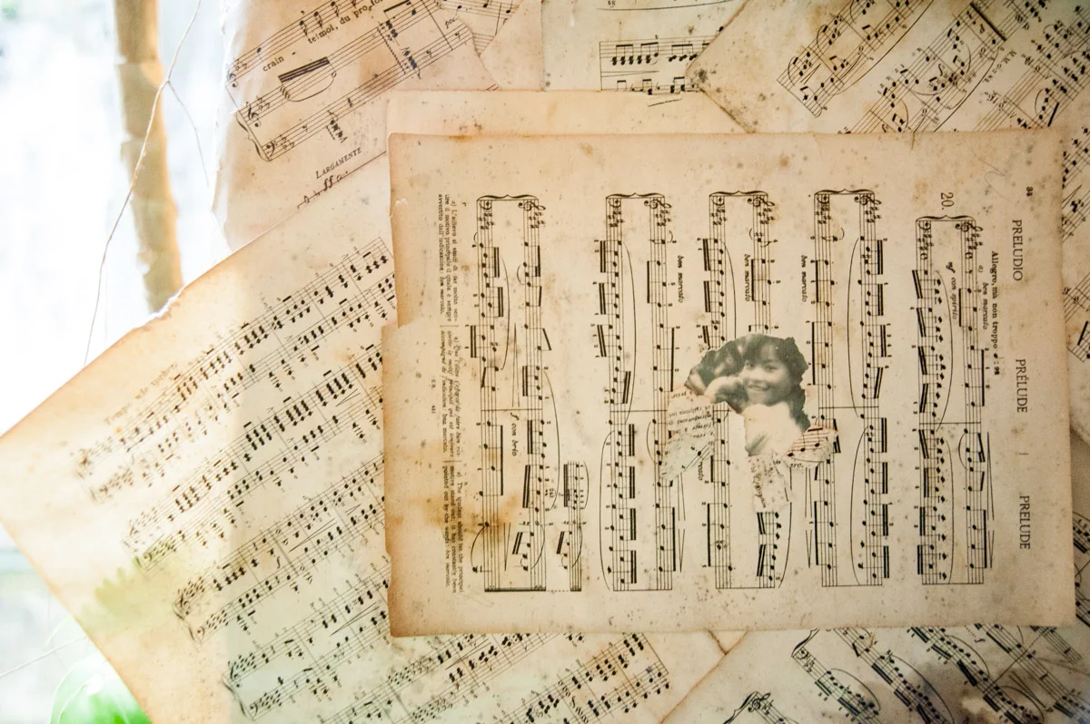 Terre d'Asiles_038.jpg