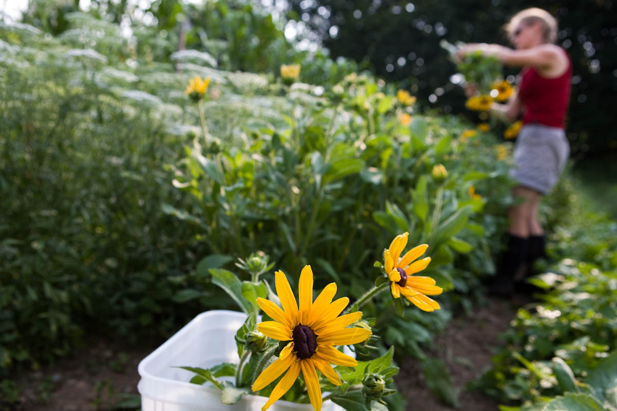Christa's Flowers.jpg