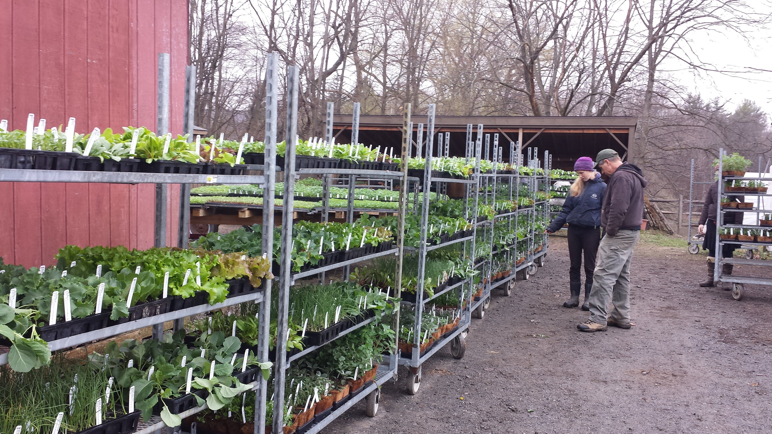 20160402_093603.jpg