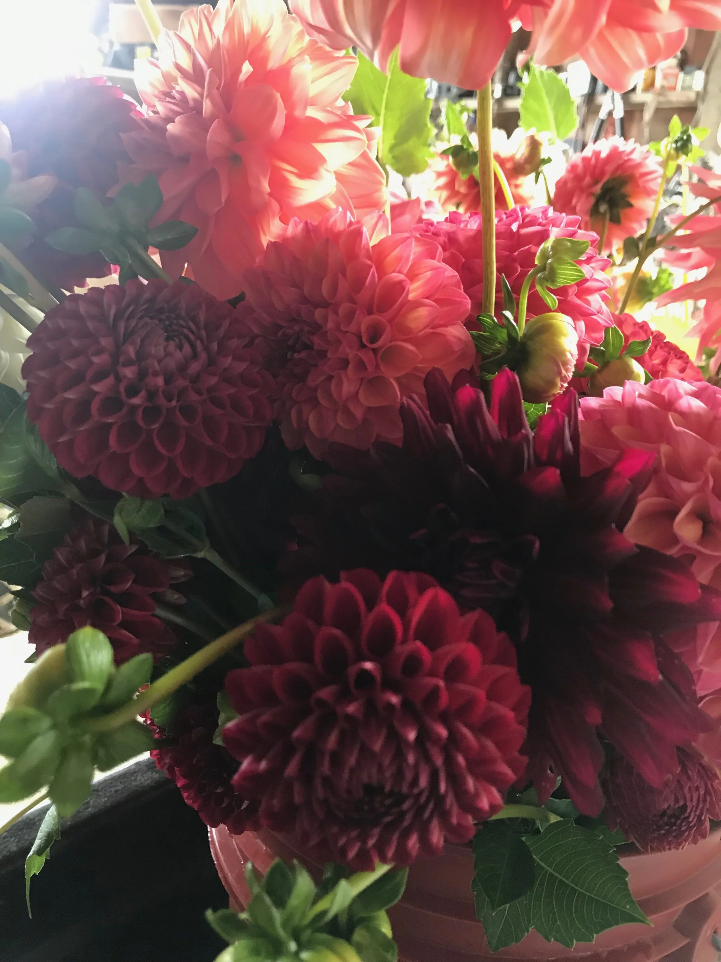 Flower Bucket Share - 4 Weeks of Bulk Flowers